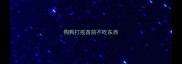狗狗打疫苗前不吃东西