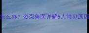 哈士奇频繁腹泻怎么办资深兽医详解5大常见原因及科学应对指南