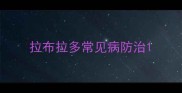 拉布拉多常见病防治