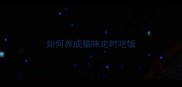 如何养成猫咪定时吃饭