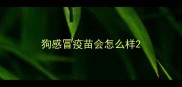 狗感冒疫苗会怎么样