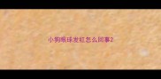 小狗眼球发红怎么回事