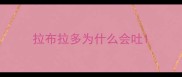 拉布拉多为什么会吐