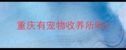 重庆有宠物收养所吗
