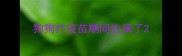狗狗打疫苗期间生病了