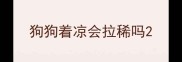 狗狗着凉会拉稀吗