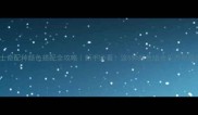 哈士奇配种颜色搭配全攻略新手必看这5种颜色组合千万别踩坑