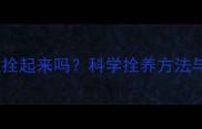 拉布拉多可以拴起来吗科学拴养方法与注意事项全