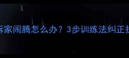 哈士奇拆家闹腾怎么办3步训练法纠正拆家行为