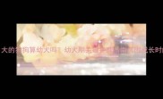 三个月大的狗狗算幼犬吗幼犬期关键护理指南附成长时间表