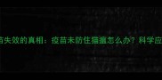 猫瘟疫苗失效的真相疫苗未防住猫瘟怎么办科学应对指南