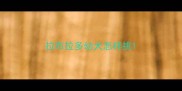 拉布拉多幼犬怎样挑