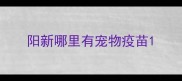 阳新哪里有宠物疫苗