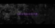 b级宠物美容师学费