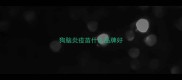 狗脑炎疫苗什么品牌好