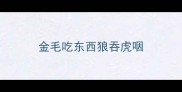 金毛吃东西狼吞虎咽