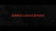 宠物狗买公的好还是母的好