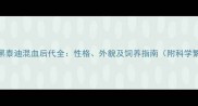 白比熊与黑泰迪混血后代全性格外貌及饲养指南附科学繁育流程