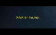 狗狗药浴有什么好处