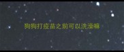 狗狗打疫苗之前可以洗澡嘛