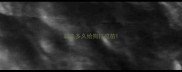 驱虫多久给狗打疫苗
