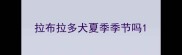 拉布拉多犬夏季季节吗