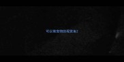 可以做宠物的观赏鱼