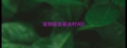 宠物疫苗驱虫时间