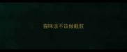 猫咪该不该做截肢