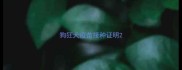 狗狂犬疫苗接种证明