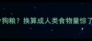 哈士奇一顿吃多少狗粮换算成人类食物量惊了附超全喂养指南