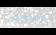 边牧容易肚里有虫