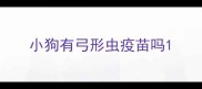 小狗有弓形虫疫苗吗