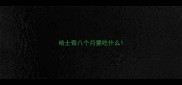 哈士奇八个月要吃什么