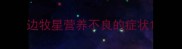 边牧星营养不良的症状