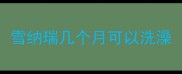 雪纳瑞几个月可以洗澡