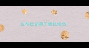 拉布拉多鼻子颜色粉色