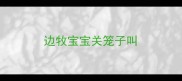 边牧宝宝关笼子叫