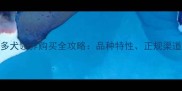 太原拉布拉多犬领养购买全攻略品种特性正规渠道及养护指南