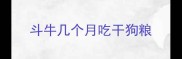 斗牛几个月吃干狗粮