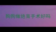 狗狗做绝育手术好吗
