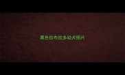 黑色拉布拉多幼犬照片
