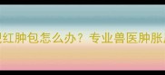 宠物疫苗后出现红肿包怎么办专业兽医肿胀原因及处理指南