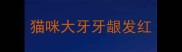 猫咪大牙牙龈发红