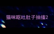 猫咪呕吐肚子抽搐