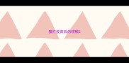 猫打疫苗后的咳嗽