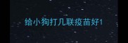 给小狗打几联疫苗好