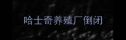 哈士奇养殖厂倒闭
