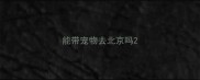 能带宠物去北京吗