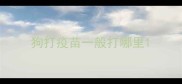 狗打疫苗一般打哪里